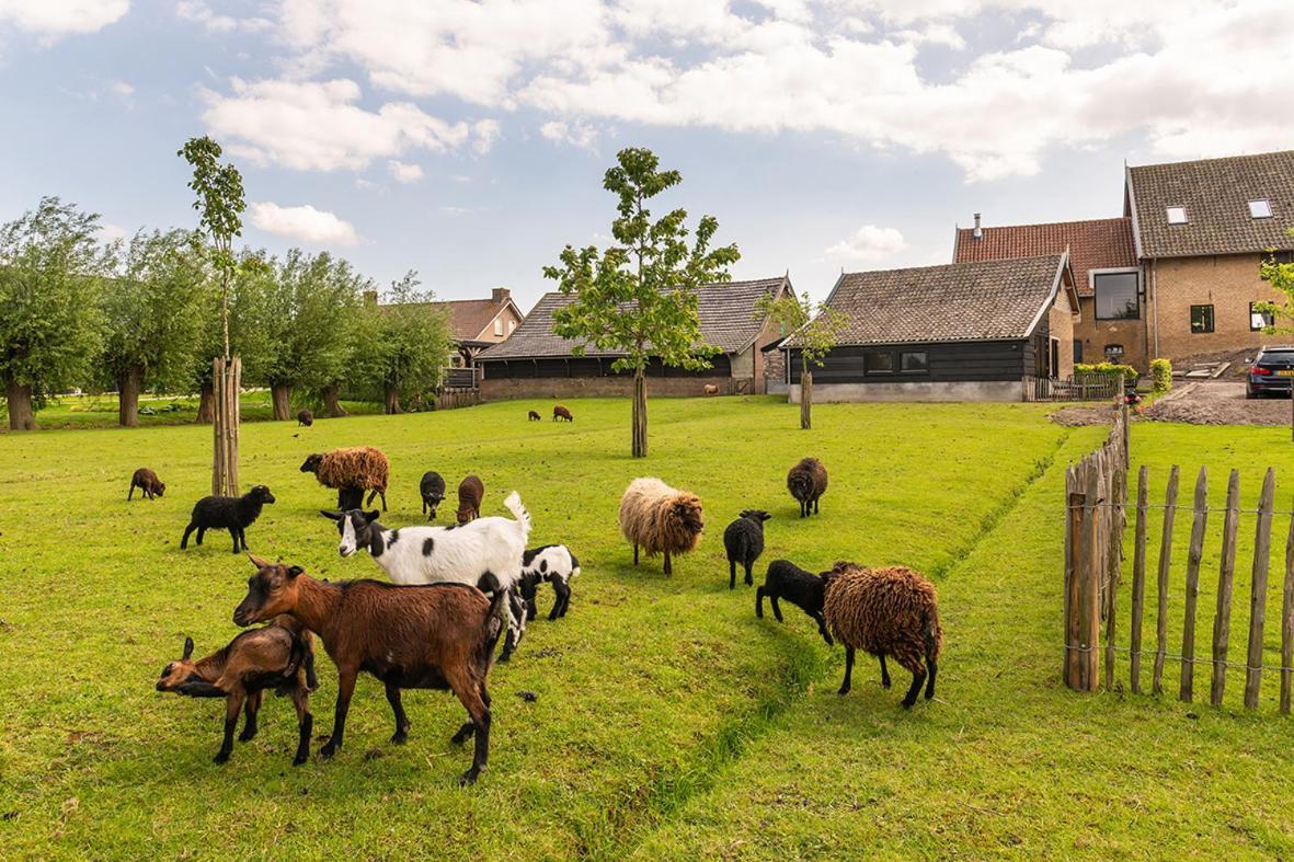 Vakantiehuisje In De Polder Oud-Alblas Buitenkant foto
