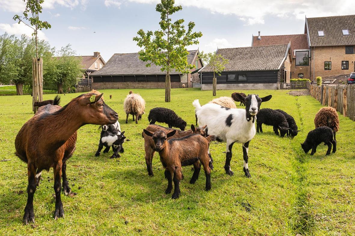 Vakantiehuisje In De Polder Oud-Alblas Buitenkant foto