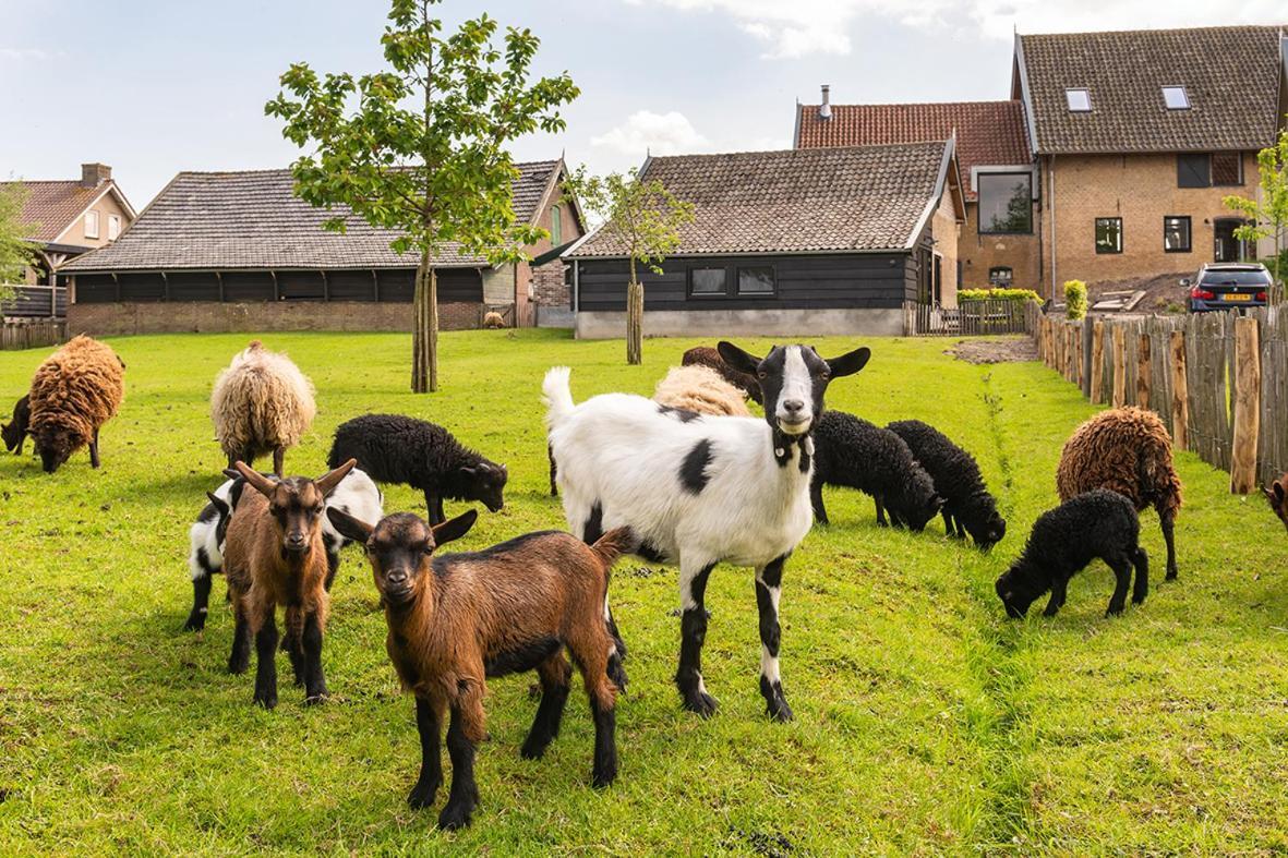 Vakantiehuisje In De Polder Oud-Alblas Buitenkant foto